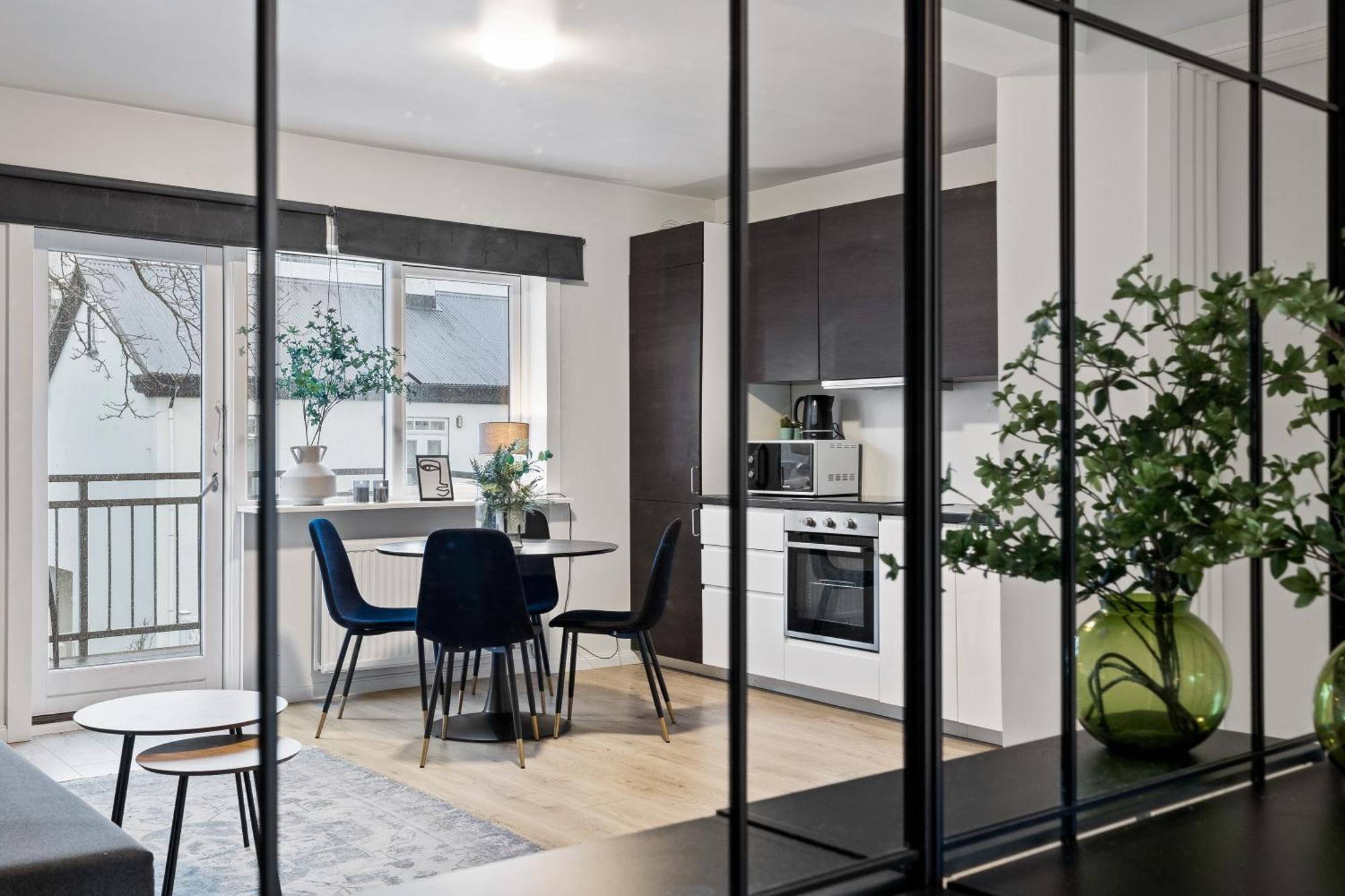 Lokastigur Charming And Inviting Apartment Reykjavik Ngoại thất bức ảnh